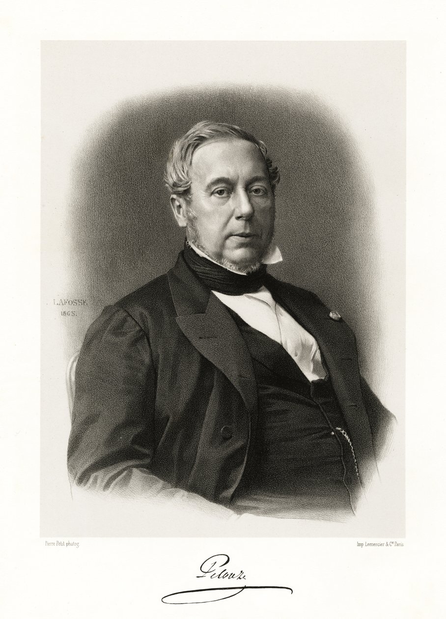 Théophile Jules Pelouze, 1865-66 af Jean Baptiste Adolphe Lafosse