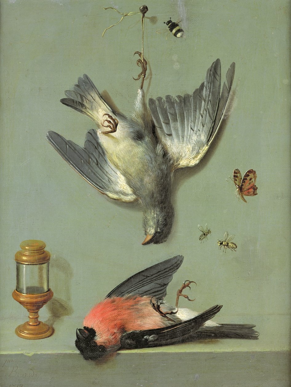 Stilleben med fugle og insekter, 1713 af Jean Baptiste Oudry