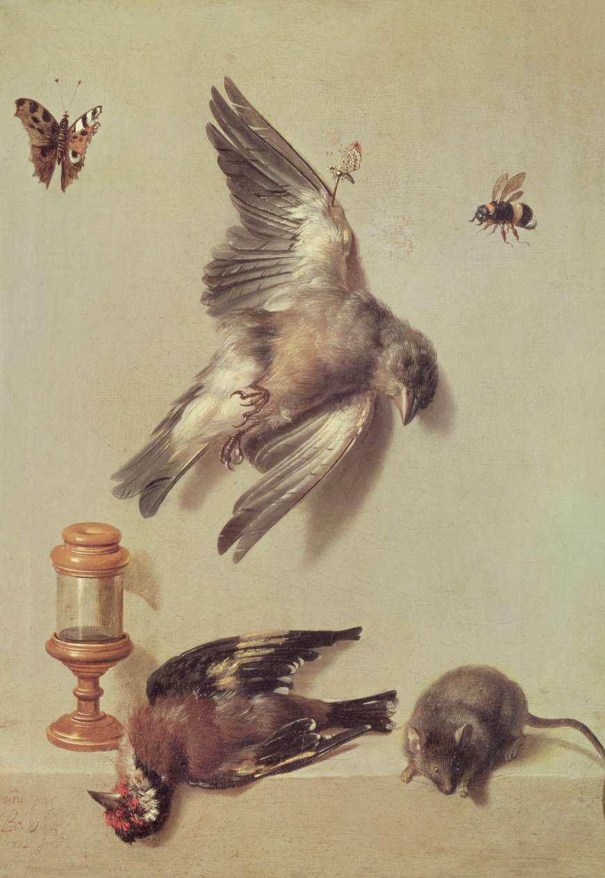 Stilleben af døde fugle og en mus, 1712 af Jean Baptiste Oudry