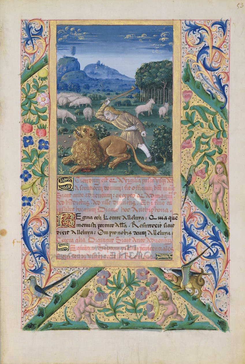 Fru Lat. Q.v.I.126 f.53 David forsvarer sin fars får mod en løve, fra 