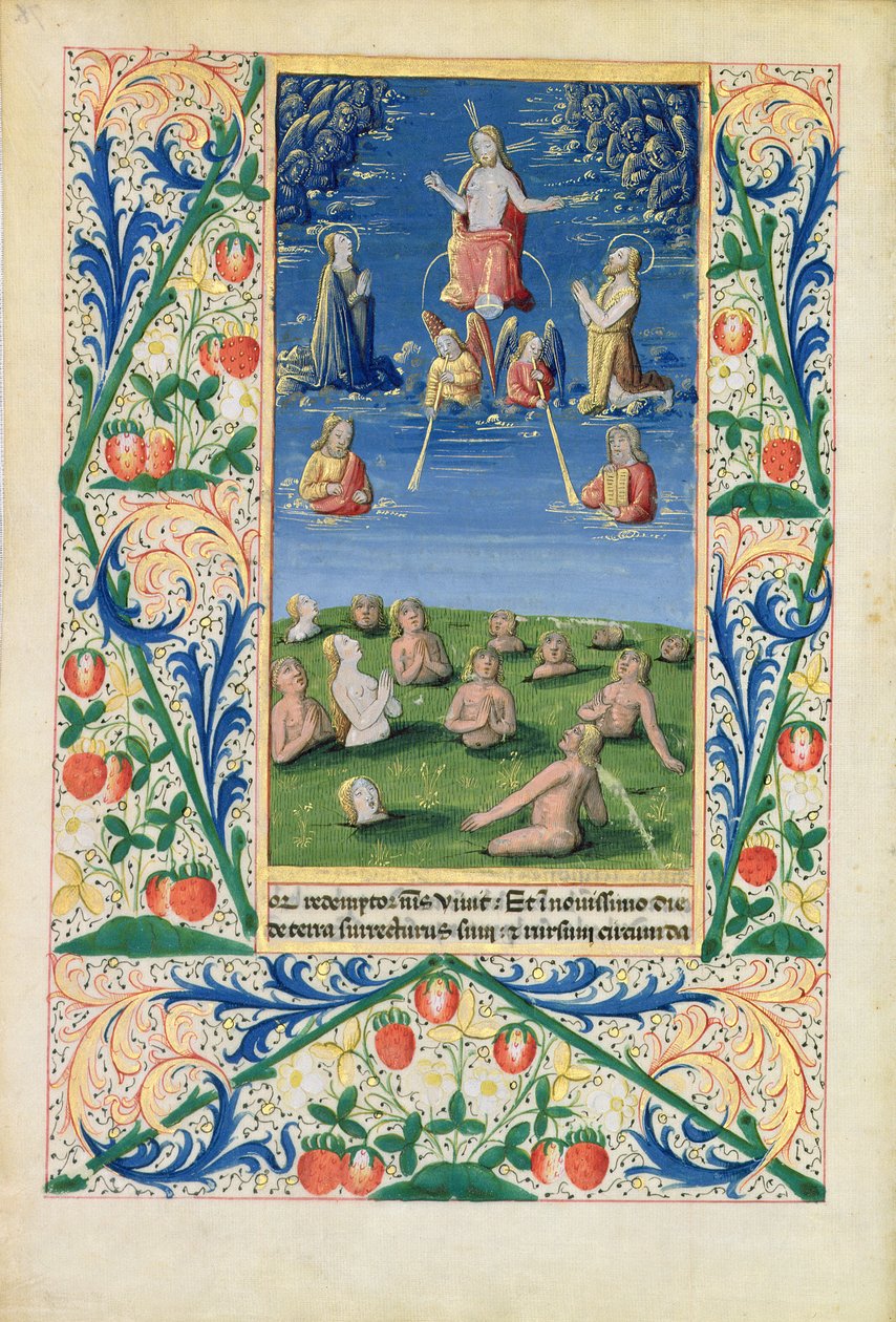 Fru Lat. Q.v.I.126 f.78v Resurrection of the Saved, fra 