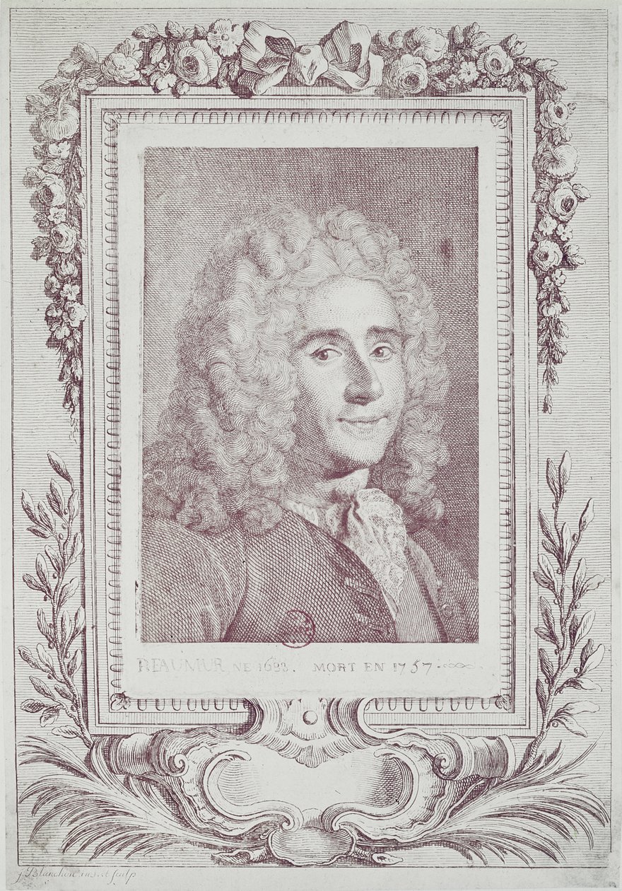 Rene Antoine Ferchault de Reaumur (1683-1757) af Jean Guillaume Blanchon