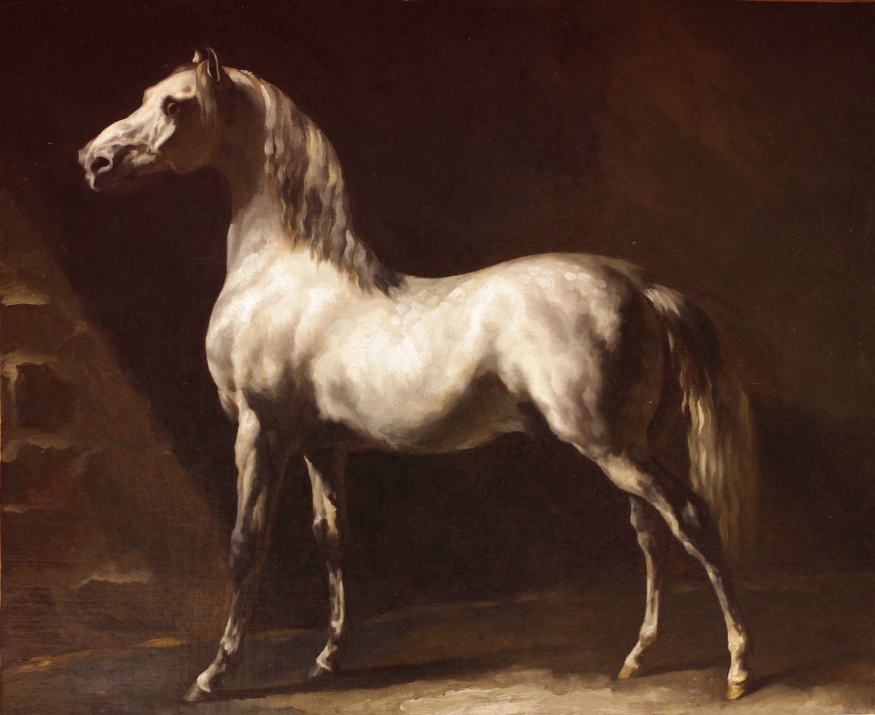 Grå-hvid arabisk hest af Theodore Gericault
