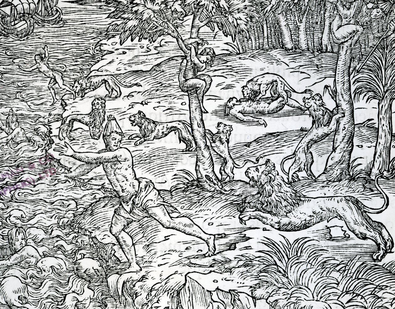 Løver angriber og æder mennesker, illustration fra 