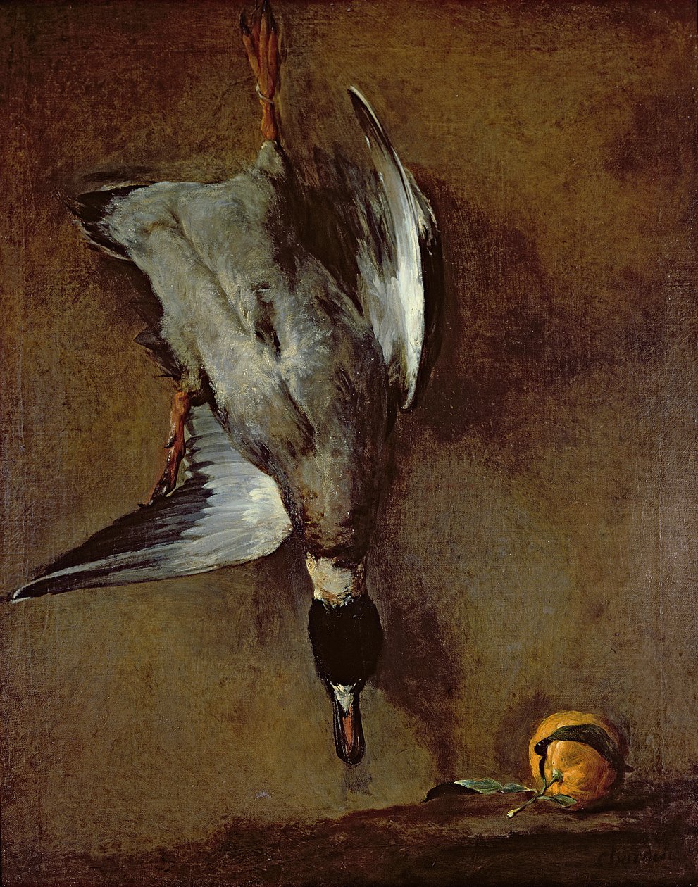 En gråand hængende på en væg med en appelsin fra Sevilla, 1720-30 olie på lærred) af Jean Baptiste Simeon Chardin