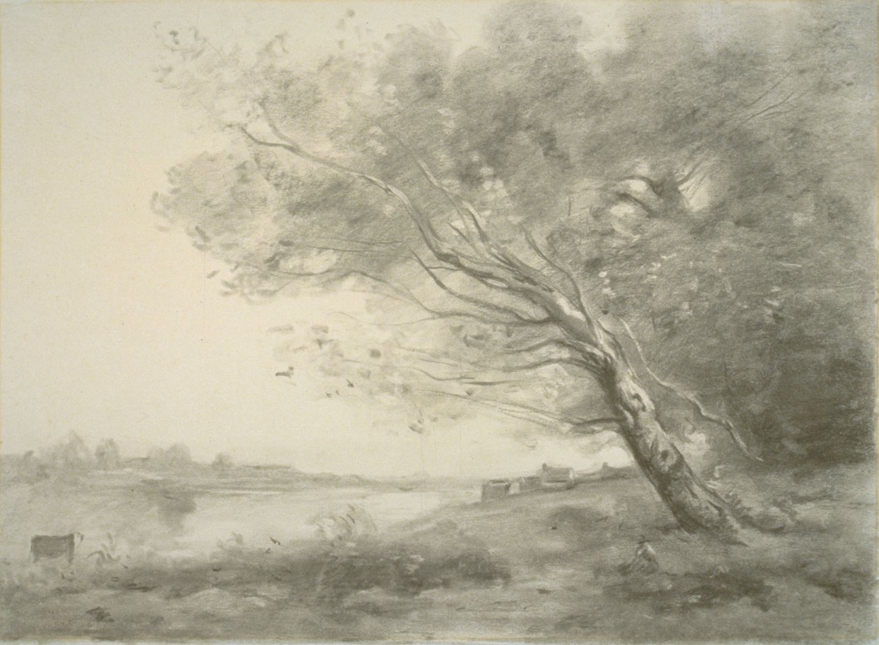 Bøjet træ ved vandet af Jean-Baptiste-Camille Corot