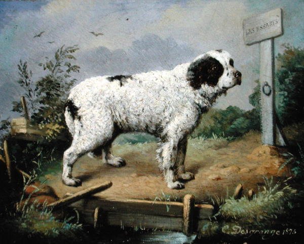 Et Newfoundland på en dæmning af Jean Baptiste Desgrange
