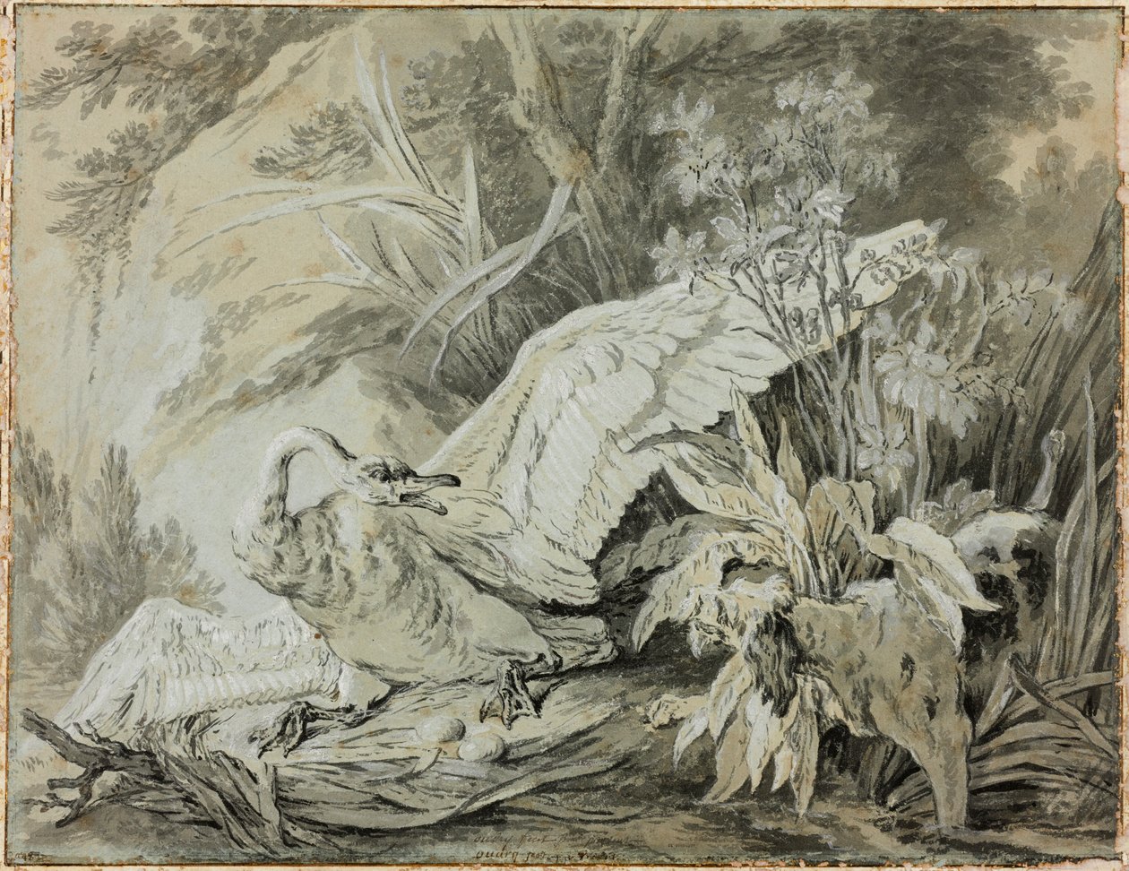 En vild svane angrebet af en hund af Jean-Baptiste Oudry