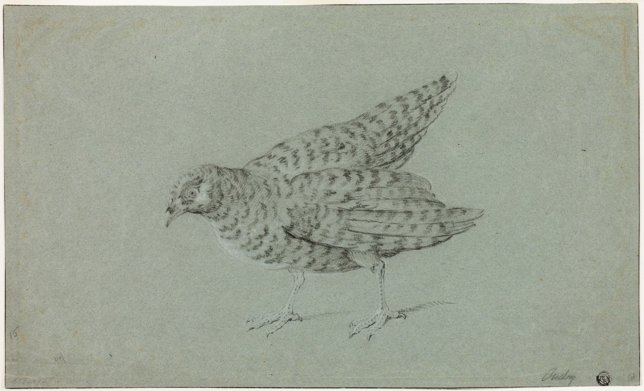 Agerhøne af Jean-Baptiste Oudry