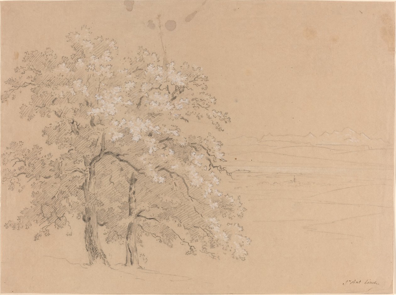 Solbeskinnede træer før et panoramalandskab af Jean Antoine Linck