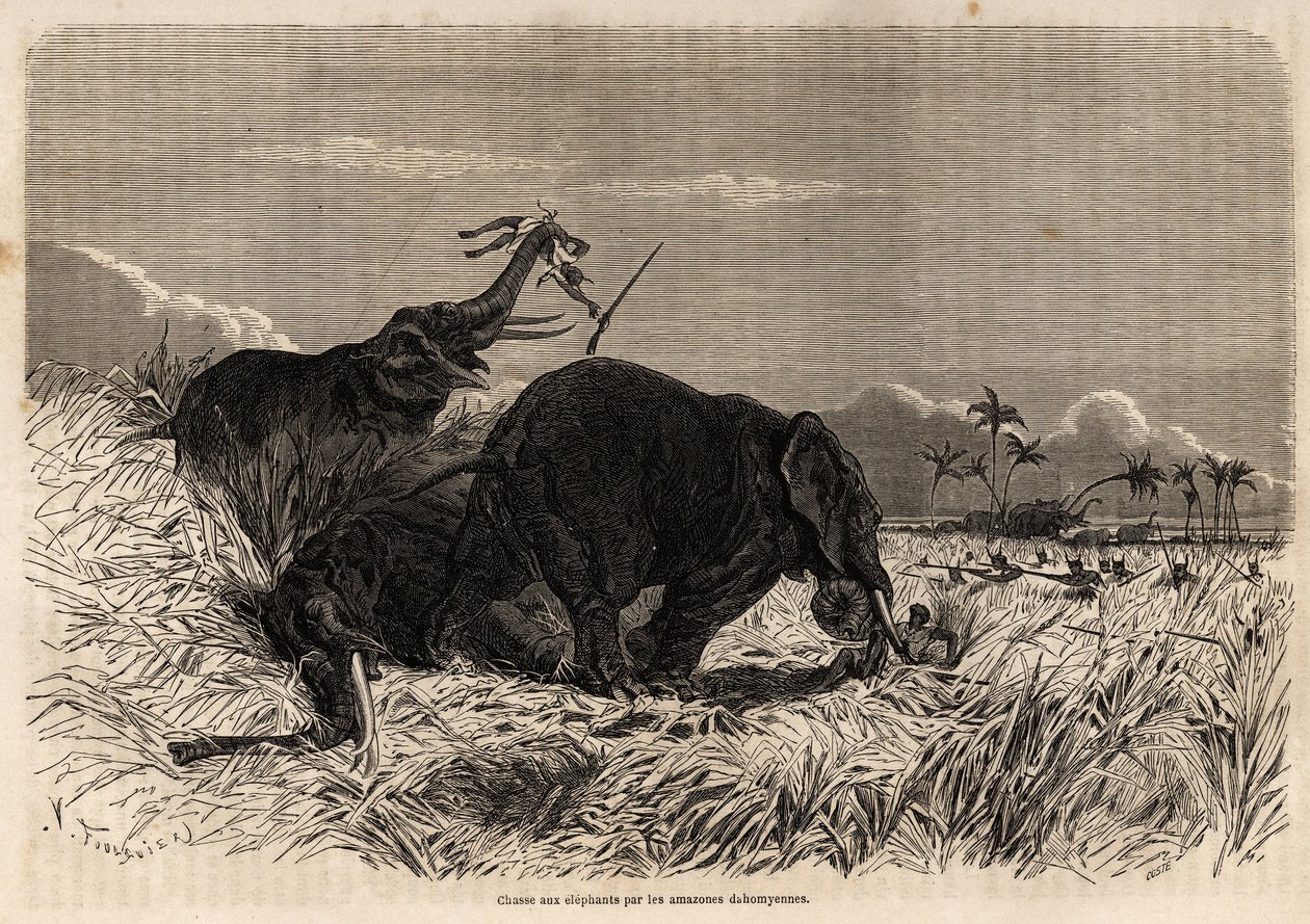 Dahomyan-mazonernes jagt på elefanter af Jean Antoine Valentin Foulquier