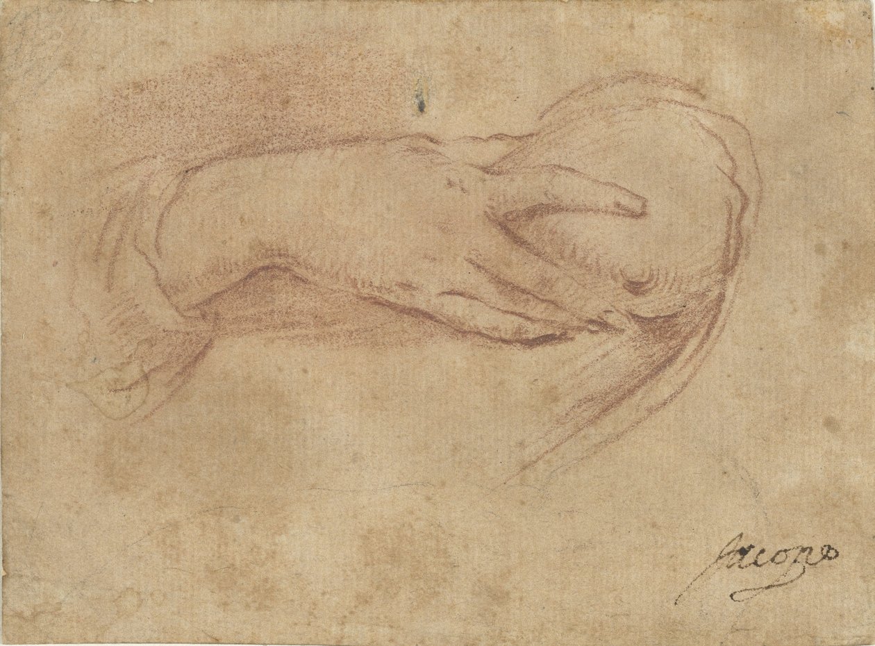 Hånd på et bryst af Jean Antoine Watteau (rejected attribution)