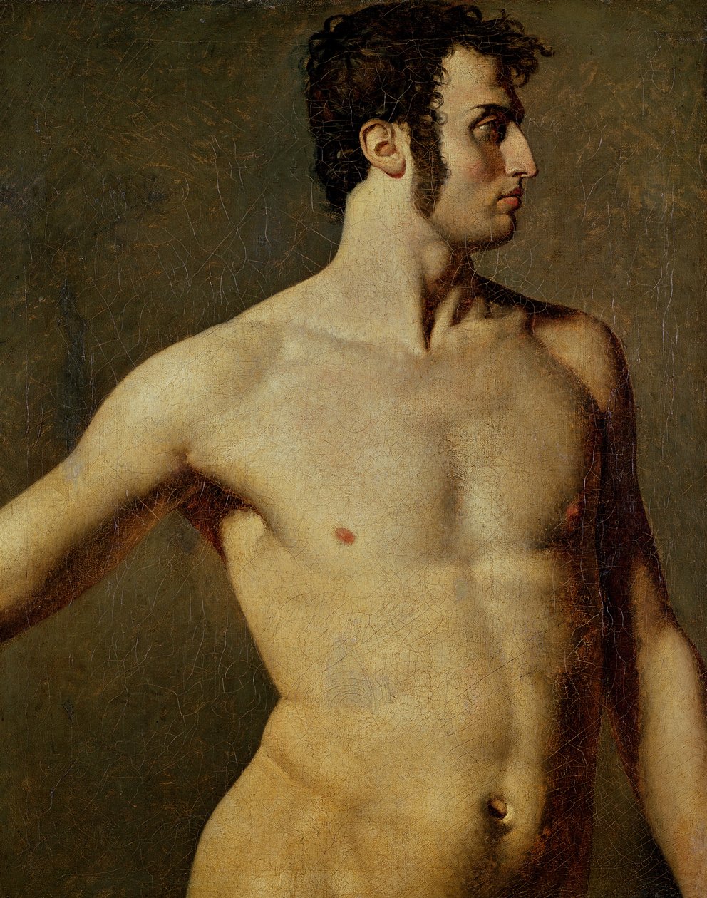 Mand Torso af Jean Auguste Dominique Ingres