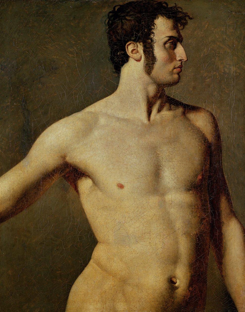Mand Torso, ca. 1800 (olie på lærred) af Jean Auguste Dominique Ingres