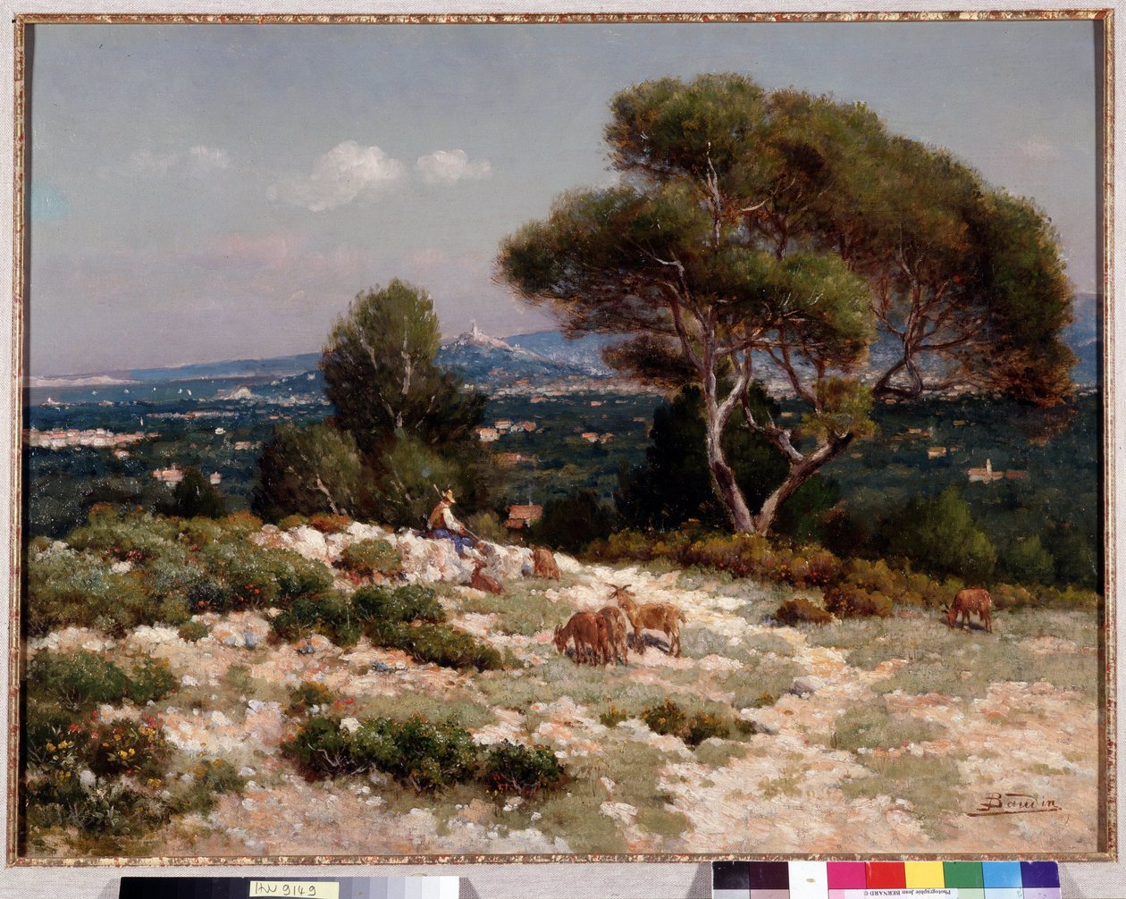 Hyrder på højderne af Saint Loup i Marseille Maleri af Jean Baptiste Baudin (1856-1922) Dim. 48x63 cm Obligatorisk omtale: Samlingsfondens hilsen Provence, Marseille af Jean Baptiste Baudin