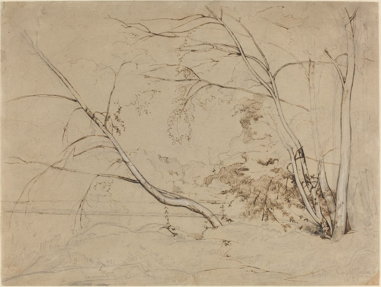 Træklump ved Civita Castellana af Jean Baptiste Camille Corot