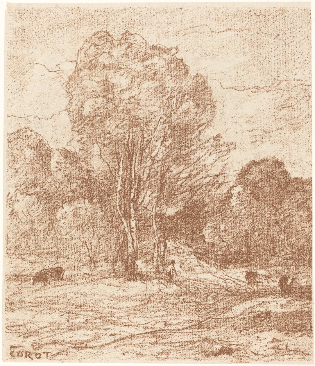 Drowsing Kvæg af Jean Baptiste Camille Corot