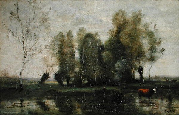 Træer i et sumpet landskab, ca. 1855-60 (olie på lærred) af Jean Baptiste Camille Corot