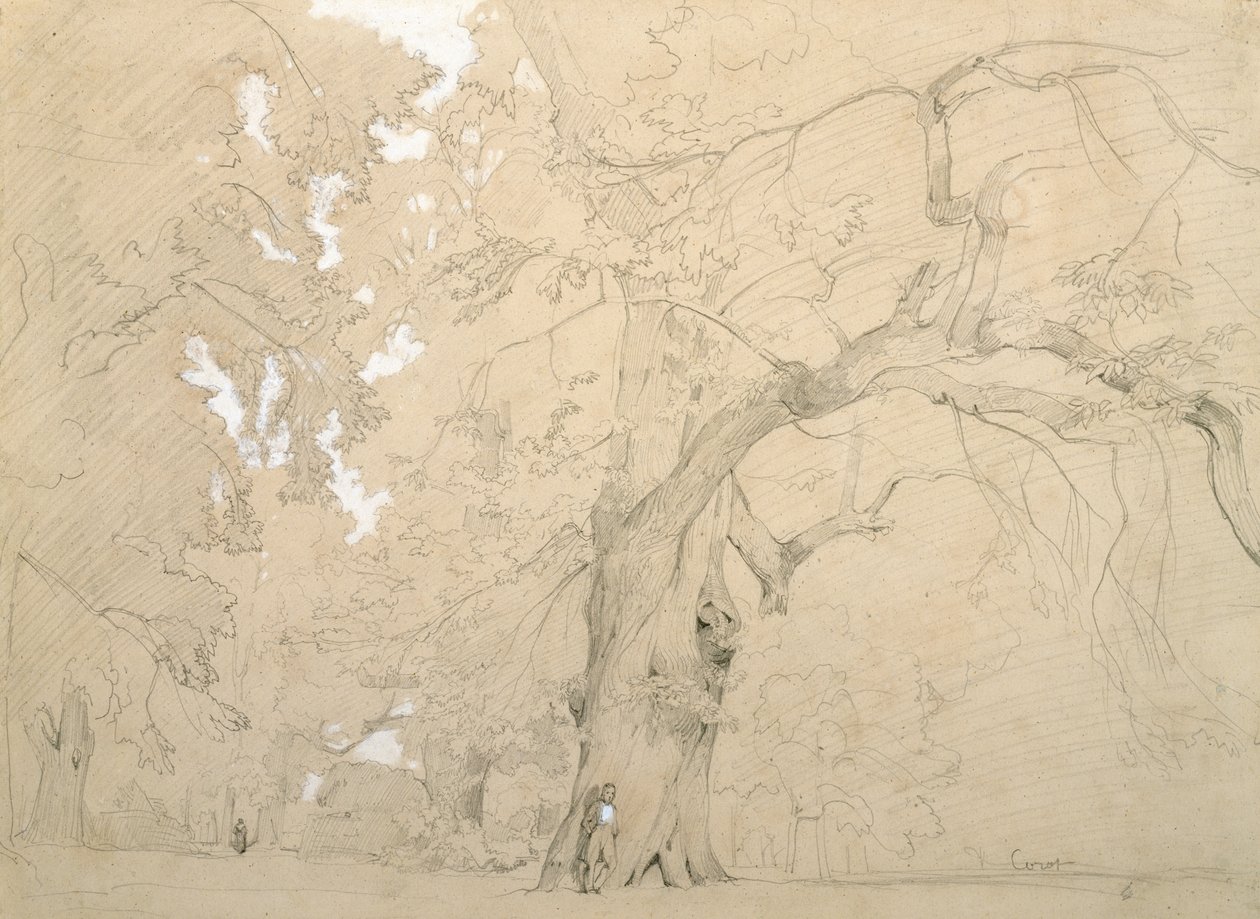 Ung mand foran en stor eg, ca. 1840 (blyant og gouache på papir) af Jean Baptiste Camille Corot