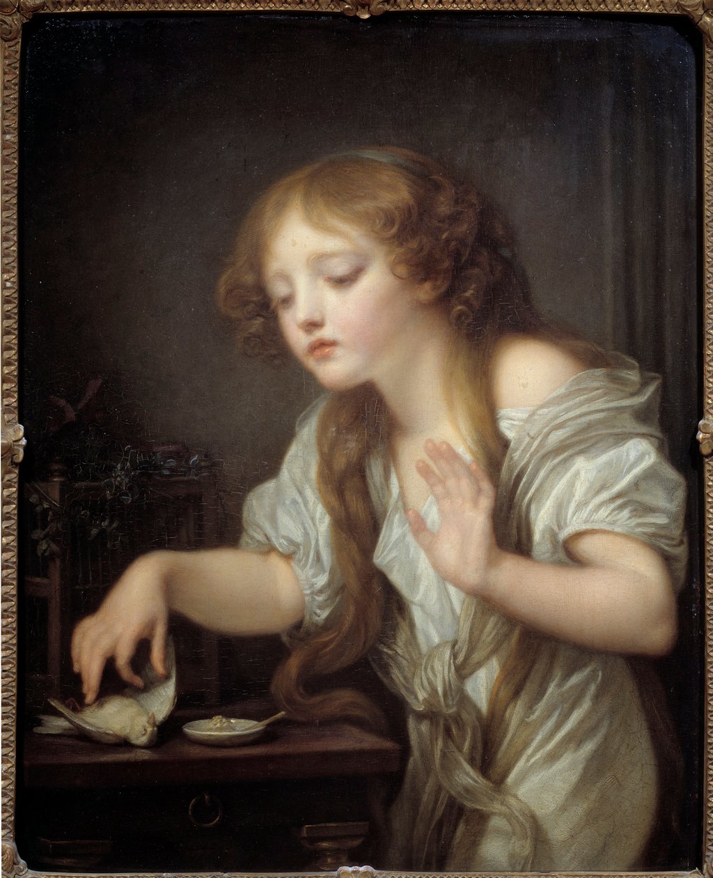 Ung pige tøver med at røre ved en fugl af frygt for, at den er død eller den døde fugl Maleri af Jean Baptiste Greuze (1725-1805) 1800 Søn. 0,68x0,55 m af Jean Baptiste Greuze