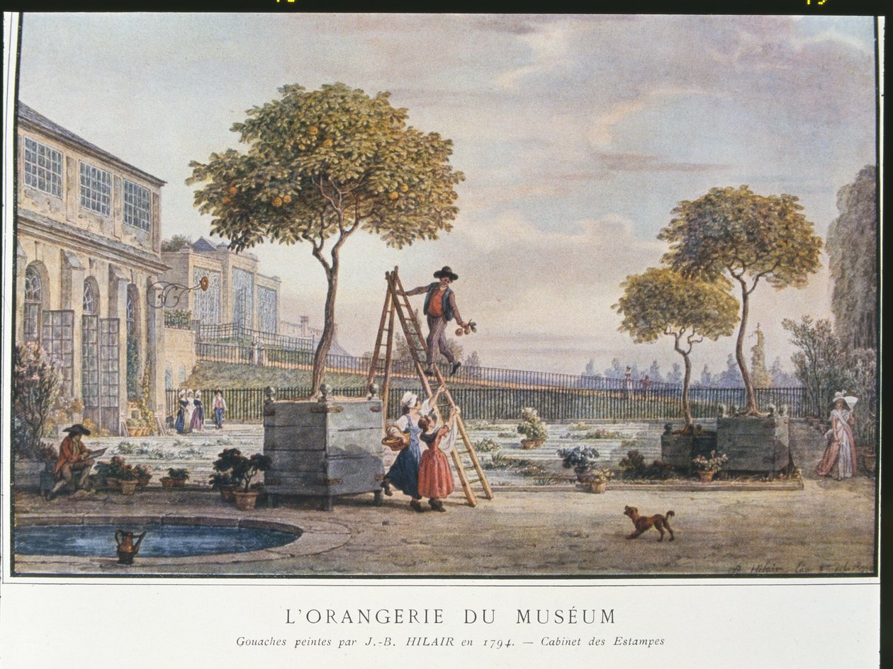 Orangeriet på museet i Paris i 1794 af Jean Baptiste Hilair