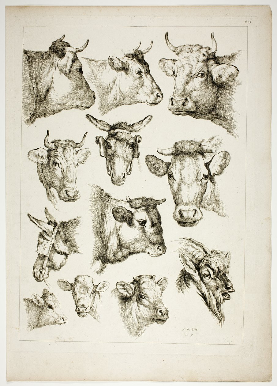 Plade 35 af 38 fra Oeuvres de J. B. Huet af Jean Baptiste Huet