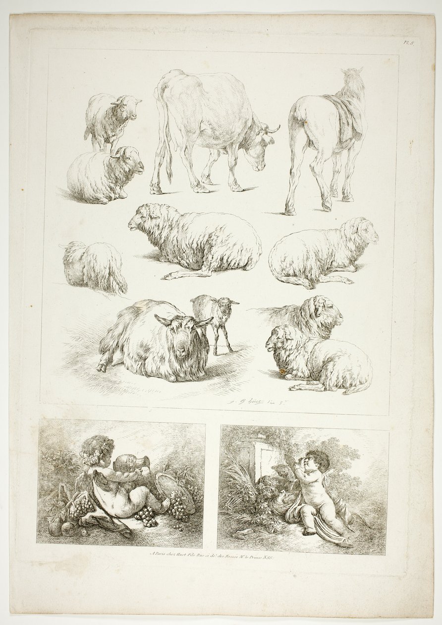 Tavle otte af 38 fra Oeuvres de J. B. Huet af Jean Baptiste Huet