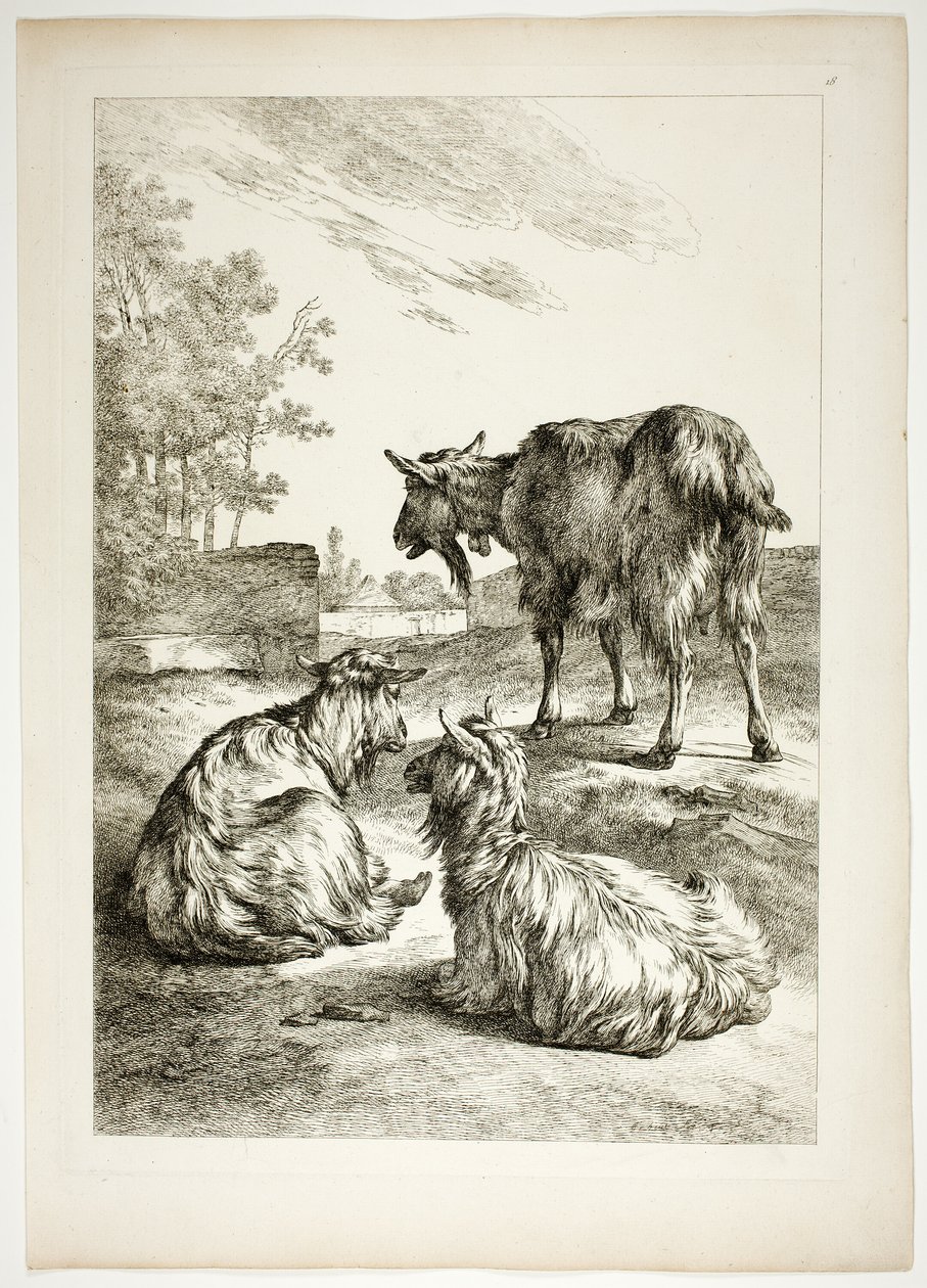 Tavle Atten af ​​38 fra Oeuvres de J. B. Huet af Jean Baptiste Huet