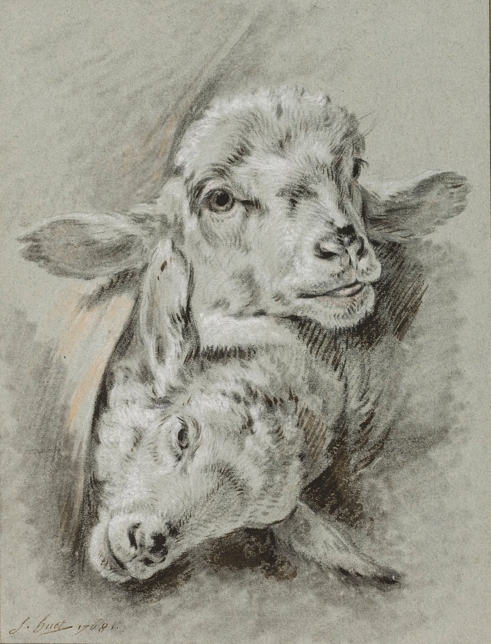 Studie af to får, 1768 (kridt og vask på papir) af Jean Baptiste Huet