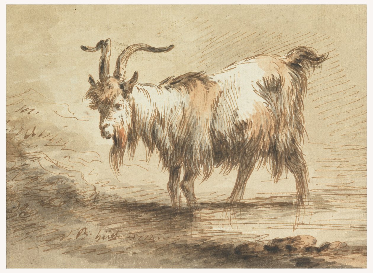 Tegning, studie af en ged, 1772 af Jean Baptiste Huet