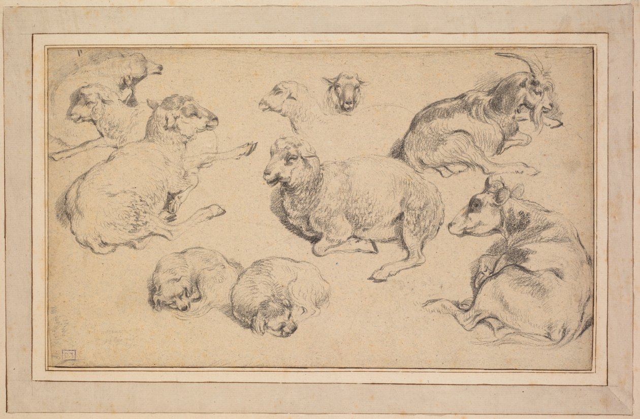 Ark med studier med får, geder og hunde, ca. 1780. af Jean Baptiste Marie Huet
