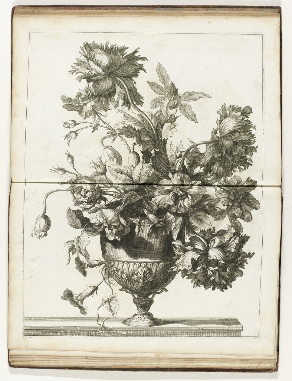 Bloemenvaas Bøger med flere vazes of flowers lavet efter det naturlige (serietitel) af Jean Baptiste Monnoyer