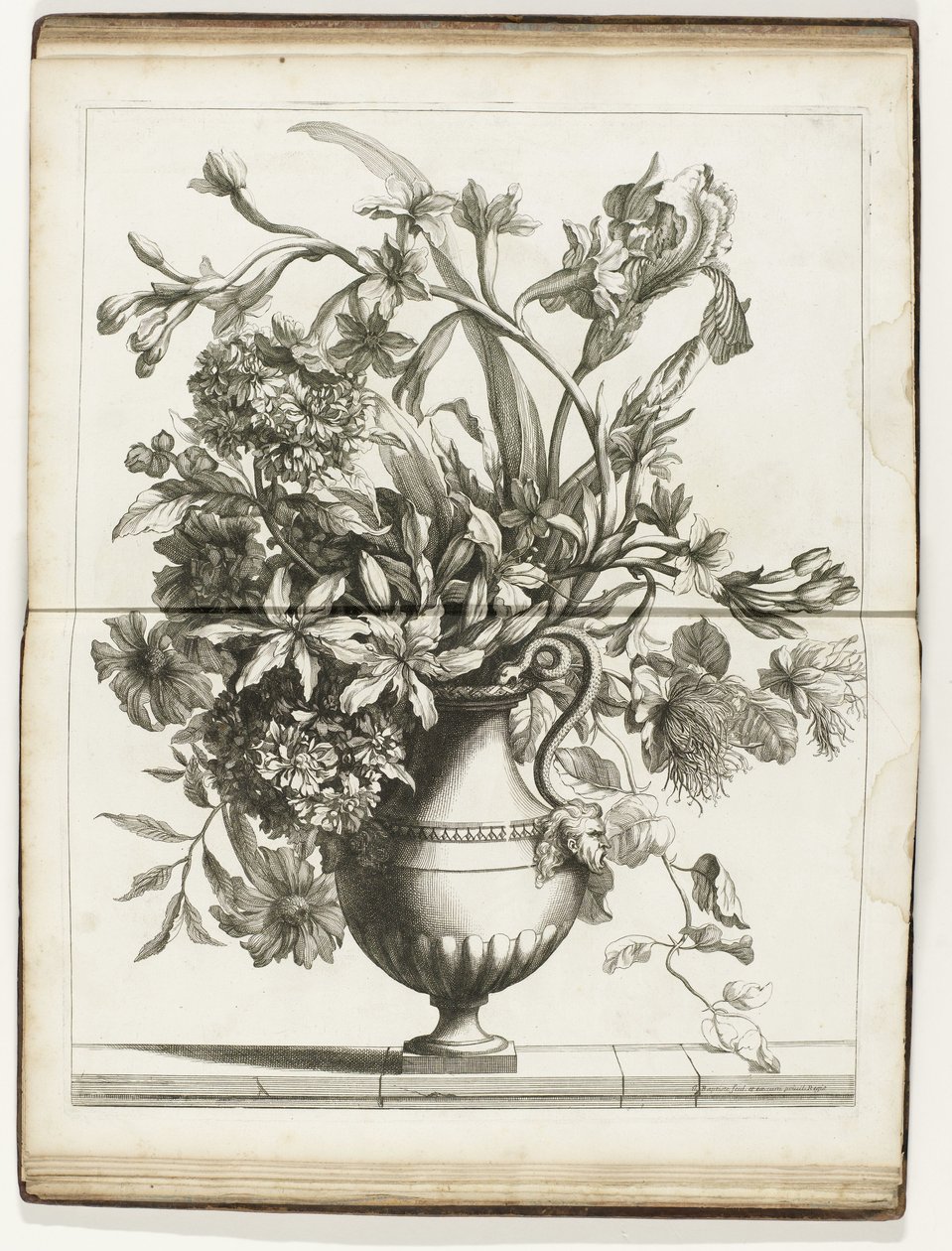Bloemenvaas Bøger med flere vazes of flowers lavet efter det naturlige (serietitel) af Jean Baptiste Monnoyer