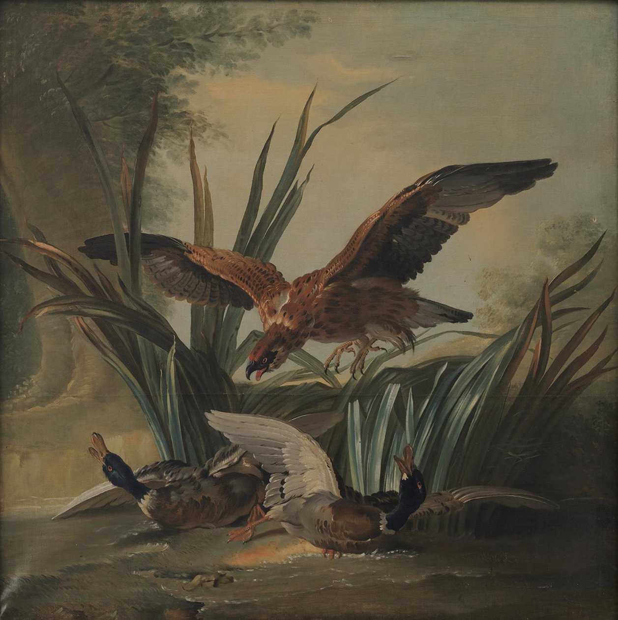 En høg, der slår på et par ænder af Jean Baptiste Oudry