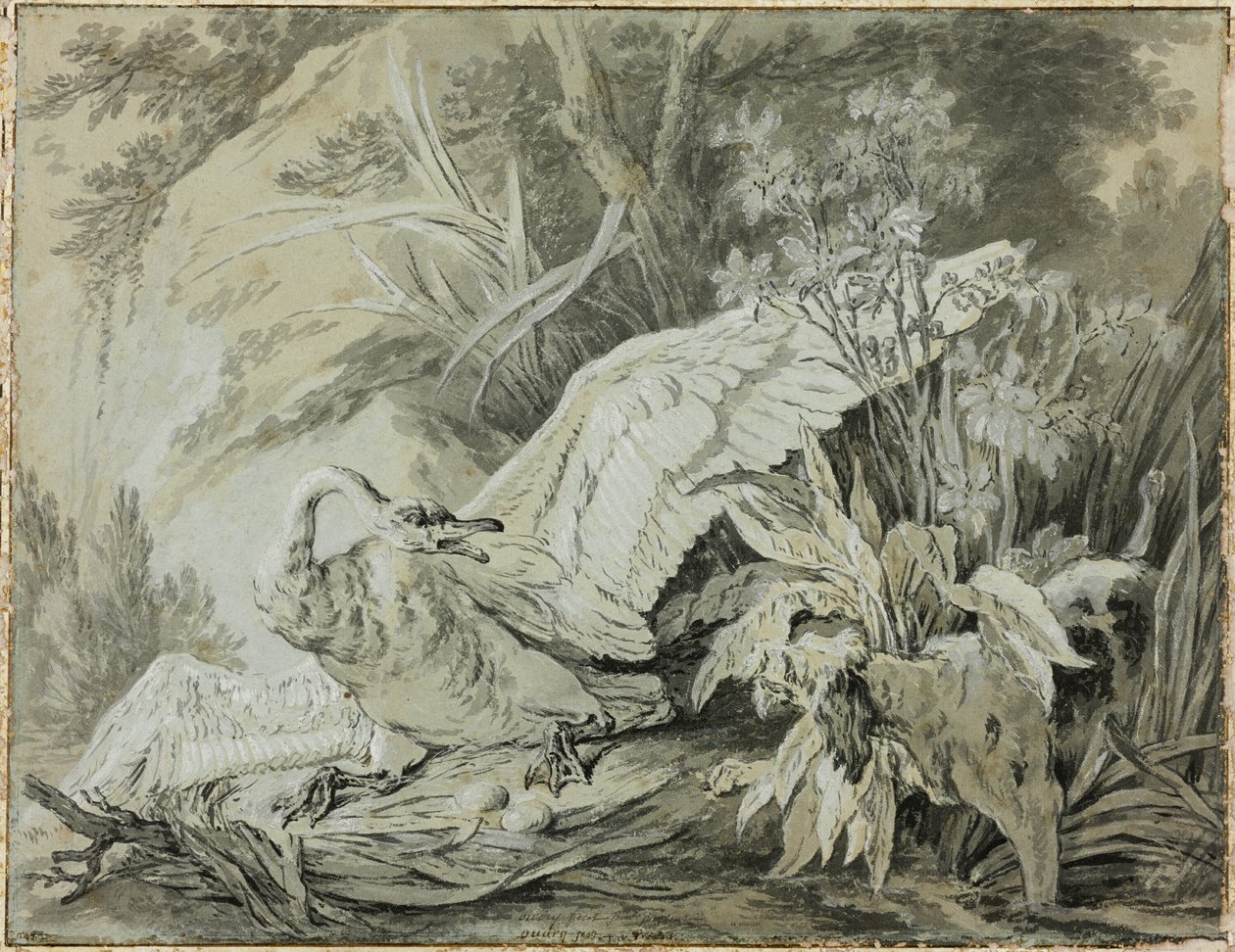 En vild svane angrebet af en hund af Jean Baptiste Oudry
