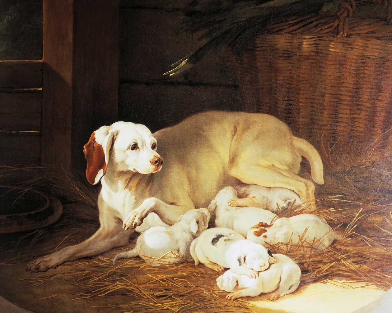 Tæve ammende hvalpe, detalje fra Lise et ses petits, af Jean-Baptiste Oudry (1686-1755), Frankrig af Jean Baptiste Oudry