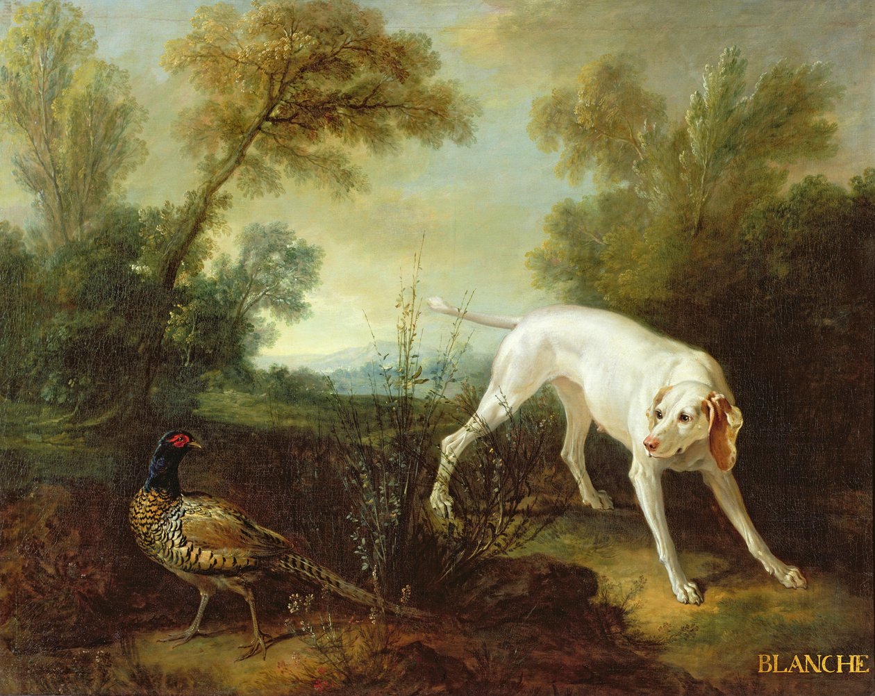 Blanche, tæve fra den kongelige jagtflok af Jean Baptiste Oudry