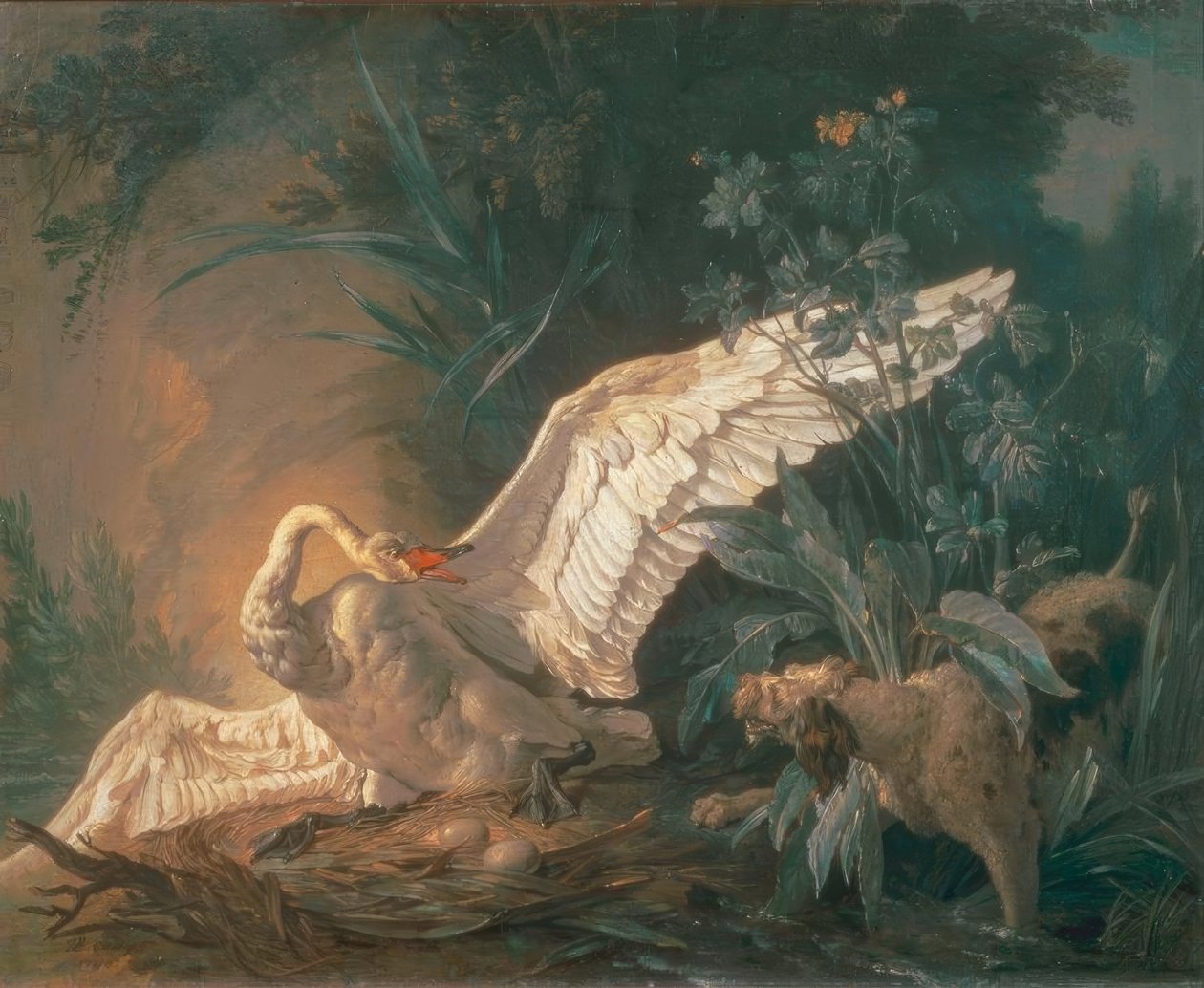 Barbet hund angriber en svane i sin rede af Jean Baptiste Oudry