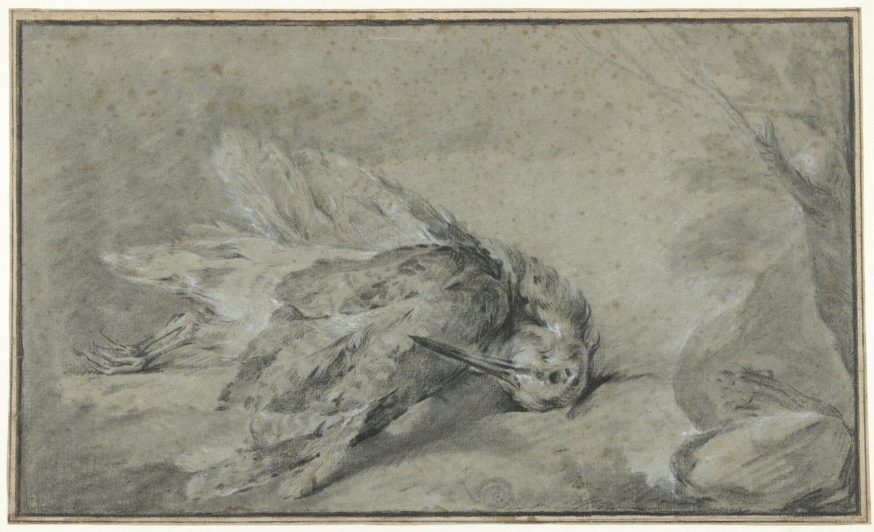 Død skovsneppe (Scolopax rusticola) af Jean Baptiste Oudry