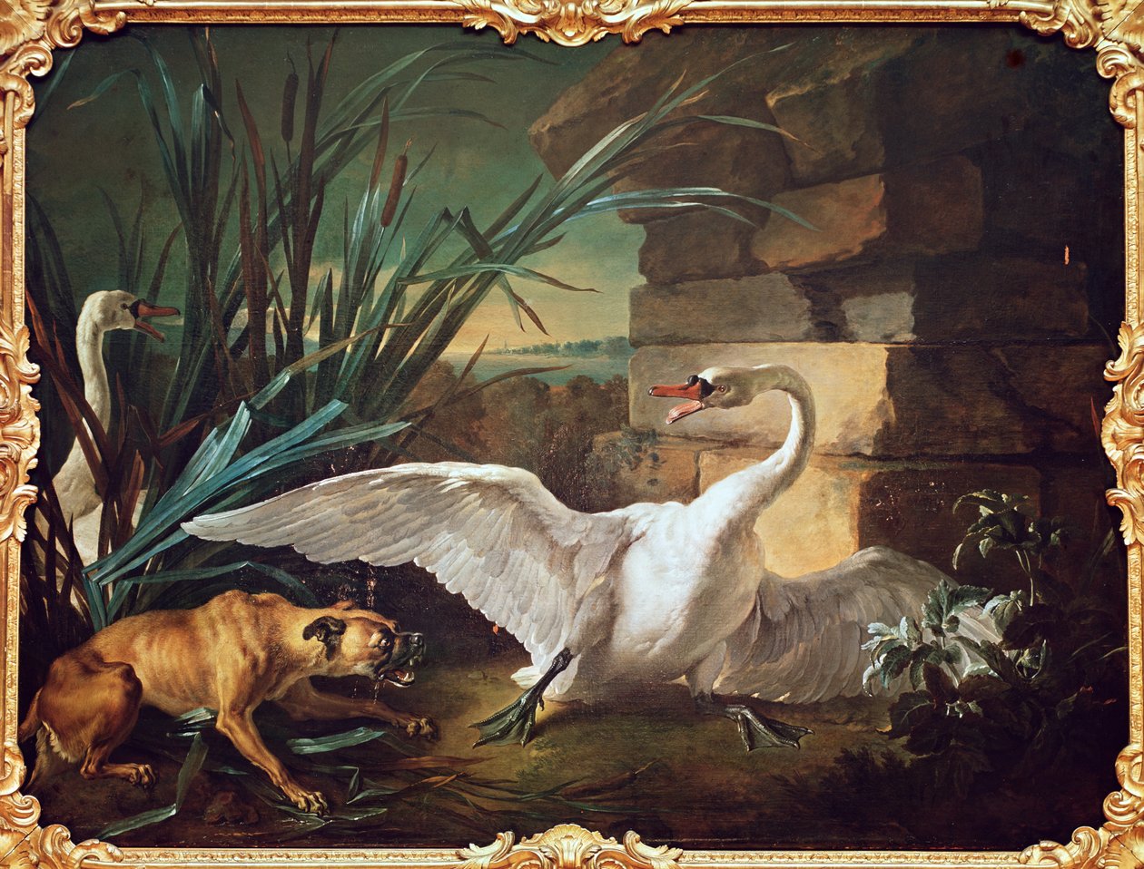 Hund og svaner af Jean Baptiste Oudry