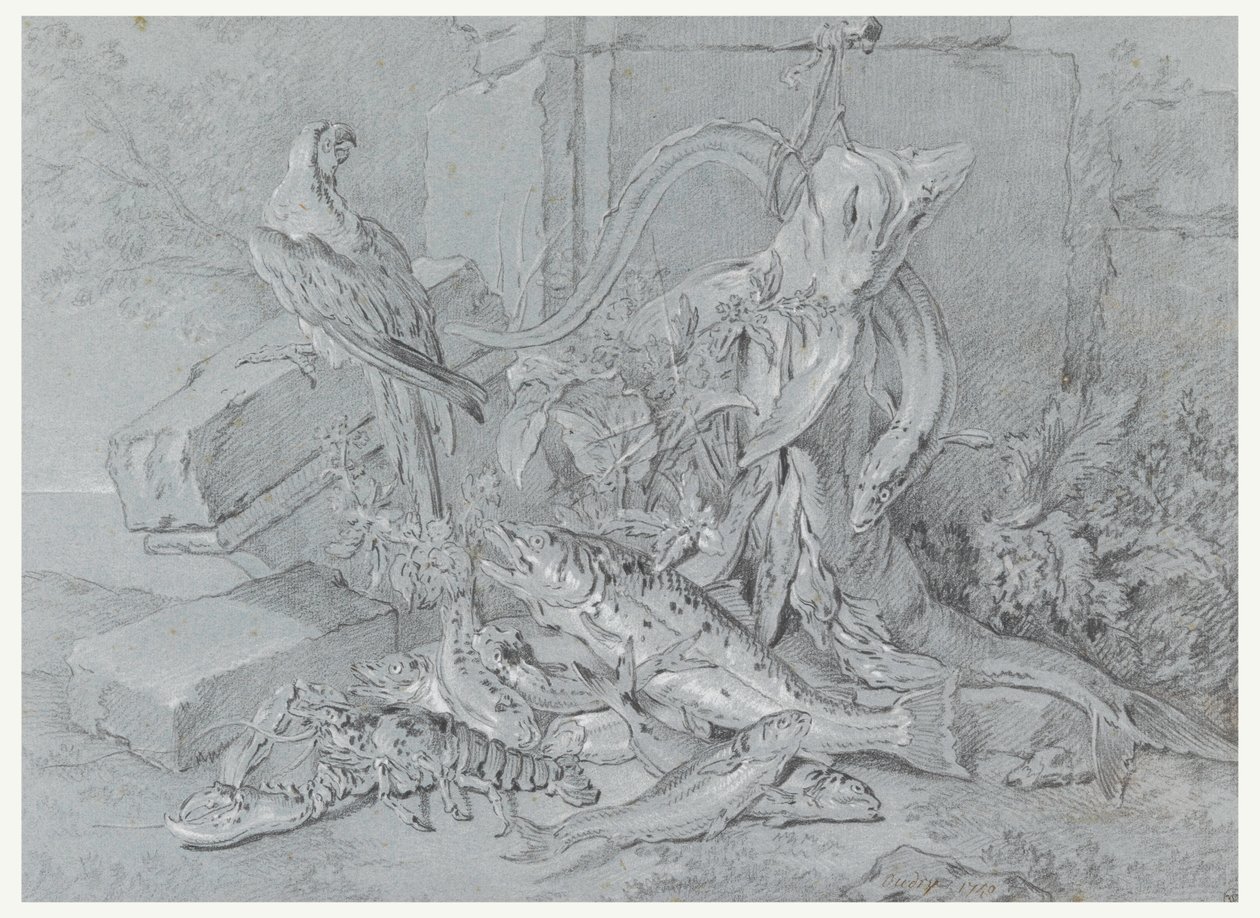 Tegning, Stilleben med fisk og papegøje, 1740 af Jean Baptiste Oudry
