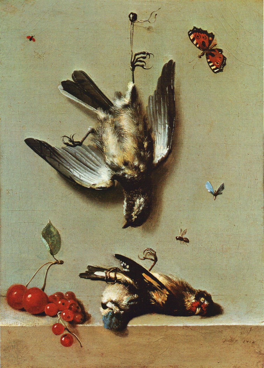 Stilleben med tre døde fugle, ribs, kirsebær og insekter af Jean Baptiste Oudry