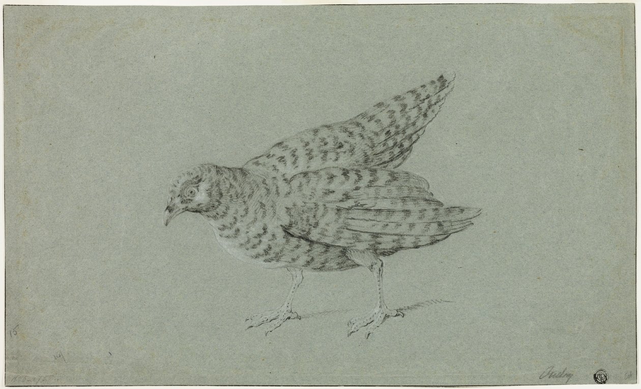 Agerhøne af Jean Baptiste Oudry