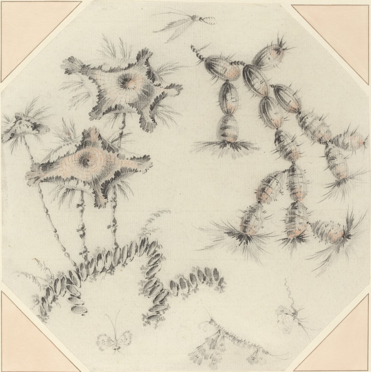 Bambusblomster og kaktus af Jean Baptiste Pillement