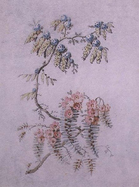 Dekorativ undersøgelse af blomster og bær af Jean Baptiste Pillement