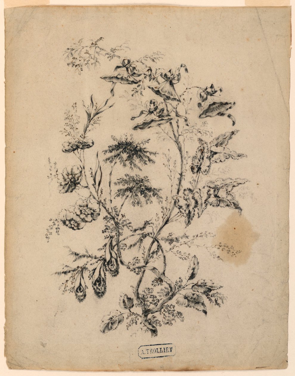 Tegning, gren af et fantastisk træ, 1775-1800 af Jean Baptiste Pillement