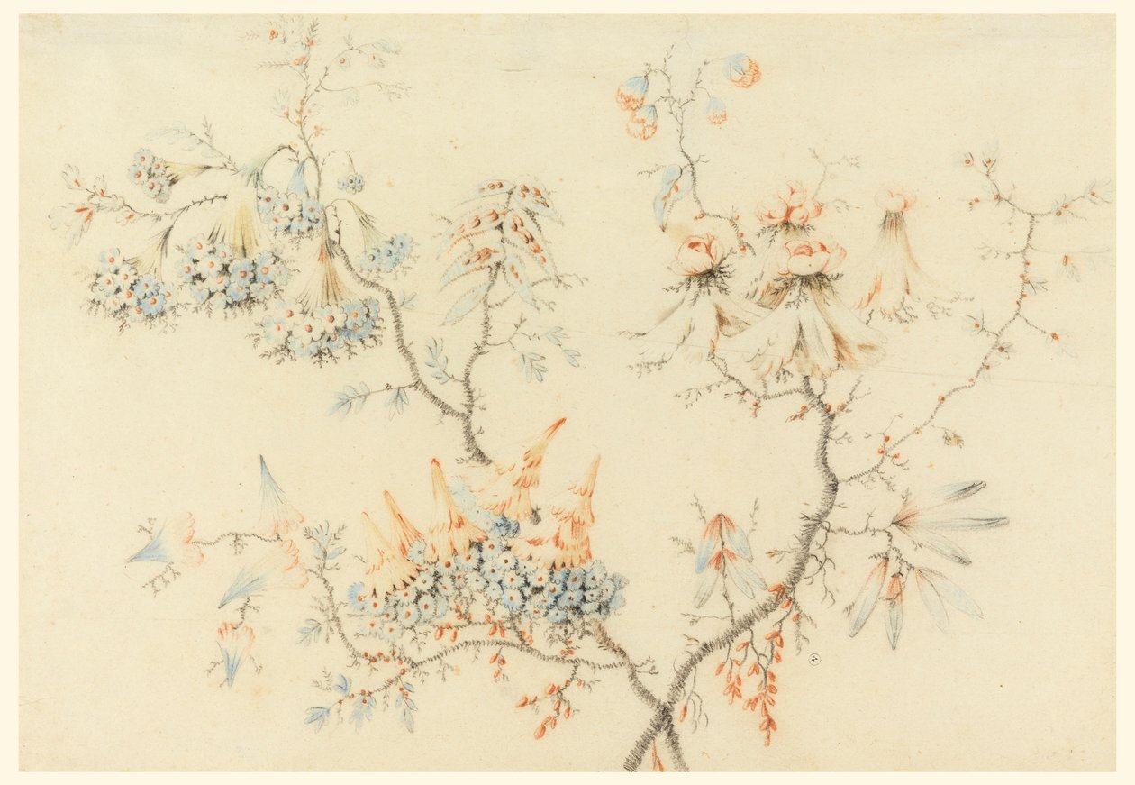 Tegning, blomstrende grene, 1775-1800 af Jean Baptiste Pillement