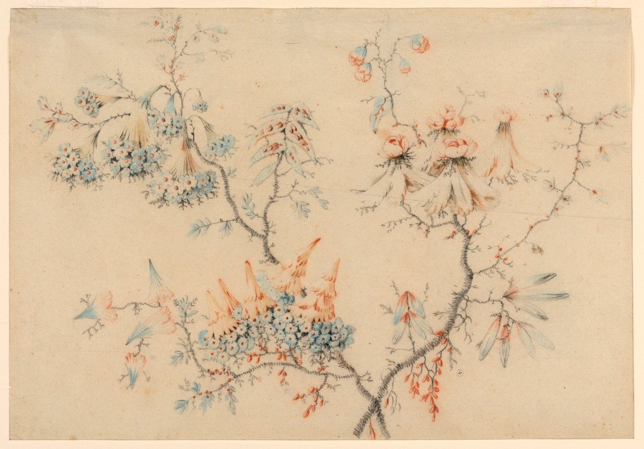 Tegning, blomstrende grene, 1775-1800 af Jean Baptiste Pillement