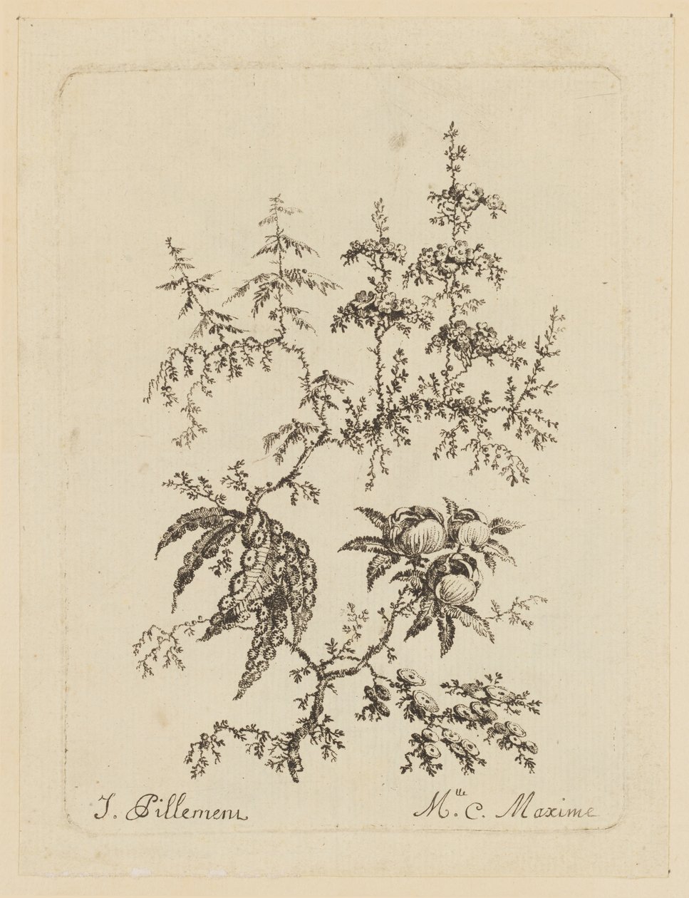 Fantastisk blomst af Jean Baptiste Pillement