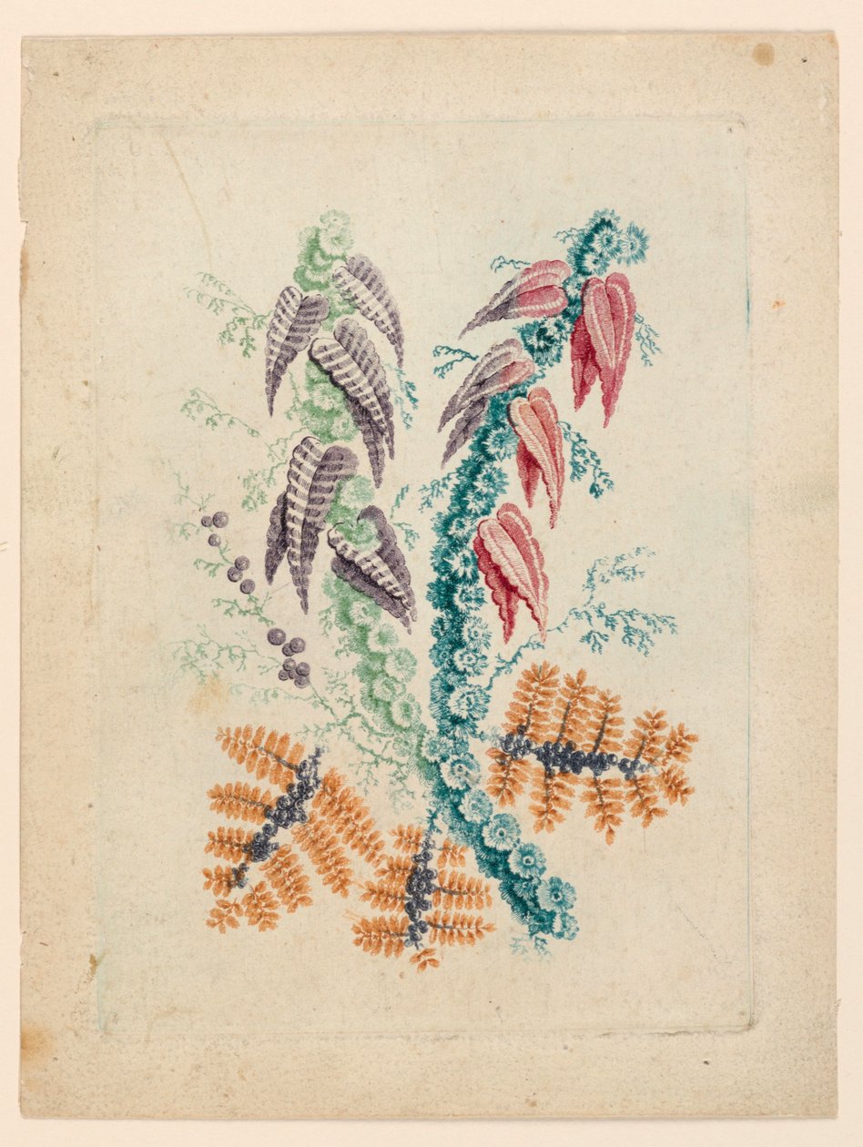 Fantastisk blomstermotiv fra "New Suite of Ideal Flower Notebooks" af Jean Baptiste Pillement